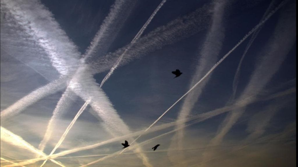 DOSSIER SULLE SCIE CHIMICHE (2)