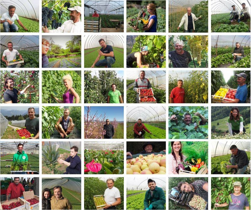 Portaci il tuo problema