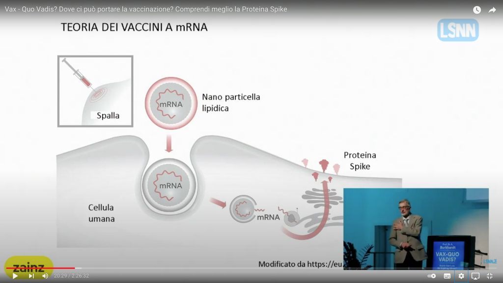 Dove ci può portare la vaccinazione? Comprendi meglio la Proteina Spike