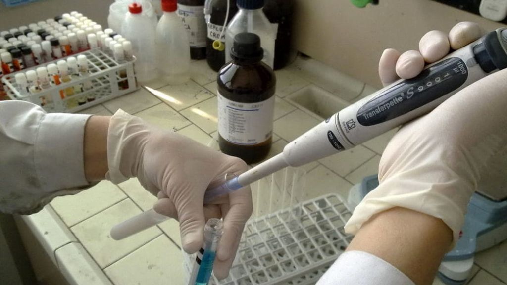 Covid-19: l’Università di Parma al lavoro con Ferrara su molecole in grado di inibire l’espressione virale e la “tempesta infiammatoria”