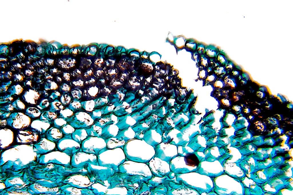 Triennale Estate | Gli appuntamenti dal 24 al 29 maggio