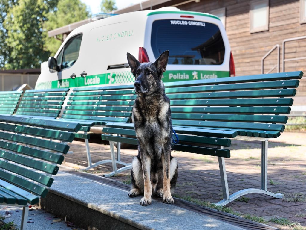Dieci nuove panchine per l'unità cinofila della Polizia locale
