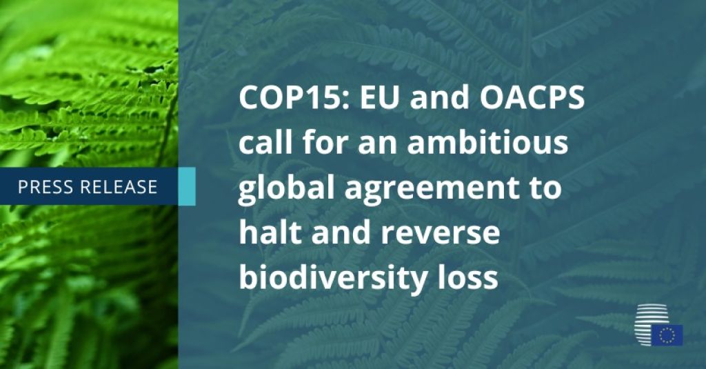COP 15 - Consiglio dell'UE: Accordo globale ambizioso tra l'Unione europea e l'Organizzazione degli Stati dell'Africa, dei Caraibi e del Pacifico