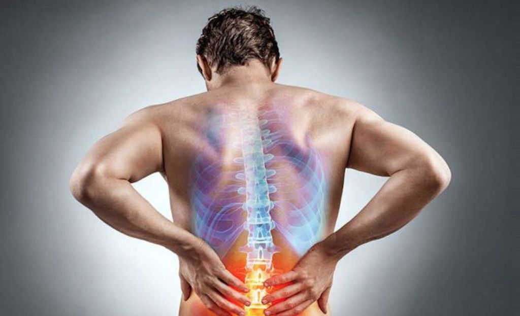 Frattura vertebrale: Cosa significa Somatico L1 alla colonna vertebrale umana. 