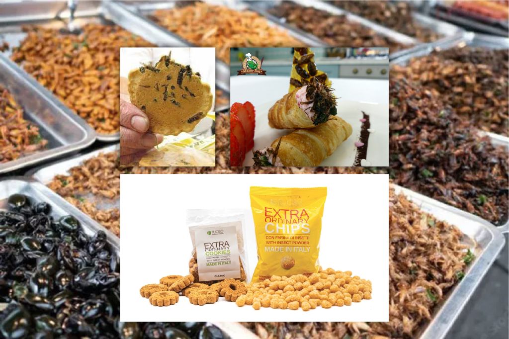 Farine proteiche di insetti: sei allergico? Sintomi e consigli utili