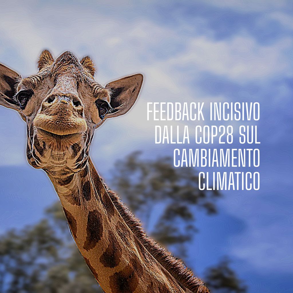 Interior Department: Feedback Incisivo dalla COP28 sulla Lotta al Cambiamento Climatico
