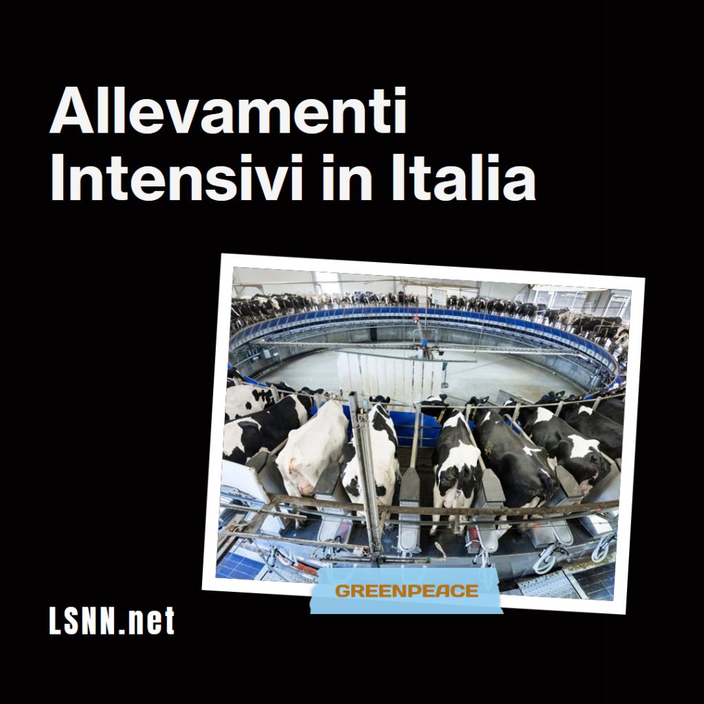 GREENPEACE - Allevamenti Intensivi in Italia: Un Pericolo Invisibile per Clima, Ambiente e Salute