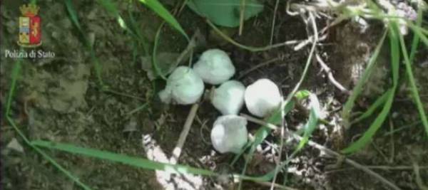 Varese: la Squadra mobile chiude l'attività di spaccio FAMILIARE