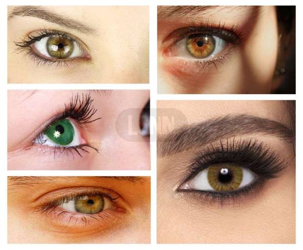 Scopri il significato degli occhi color Nocciola: cosa causa il colore nocciola o castani