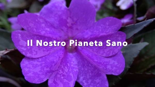 Il Gioco della Felicità che crea la condizione - Il Nostro Pianeta Sano -