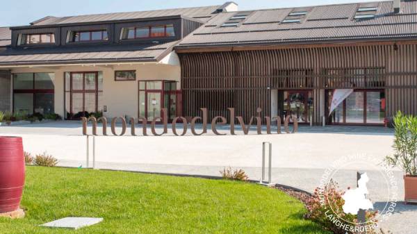 Agroindustria: 23 milioni per azienda MGM Mondo del Vino