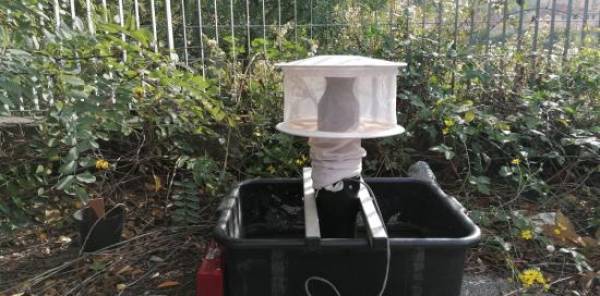 Zanzare - Usutu Virus a Genova: Monitoraggio e Prevenzione