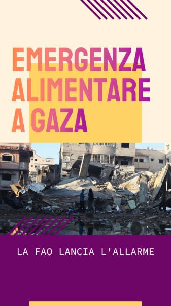 Emergenza Alimentare a Gaza: La FAO lancia l'allarme e chiama all'azione immediata